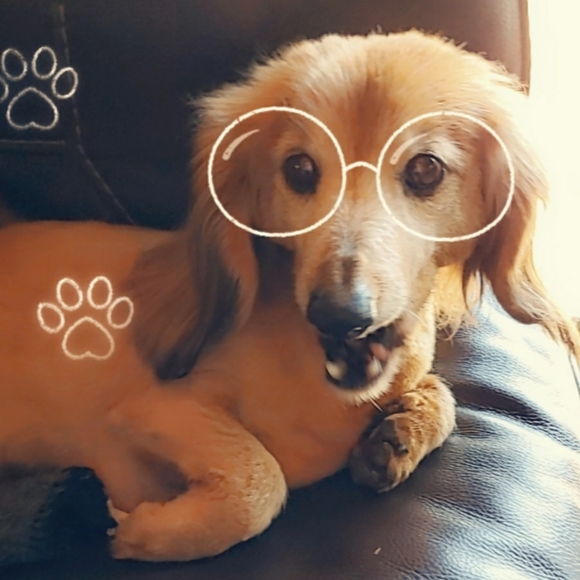 Meet your Posher, Debra - Picture 8 of 12